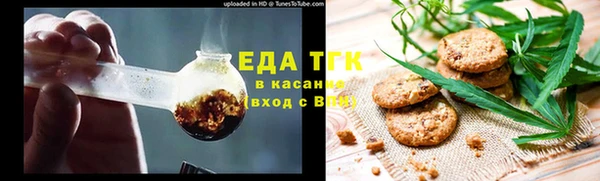 индика Тихвин