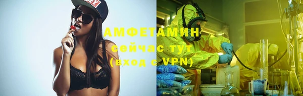гидра Абаза