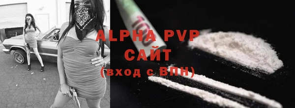 гидра Абаза