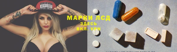 гидра Абаза