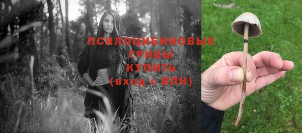 ГАЛЛЮЦИНОГЕННЫЕ ГРИБЫ Заводоуковск