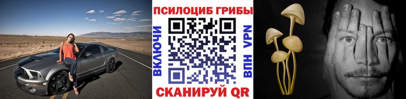 Галлюциногенные грибы Psilocybe Шарыпово